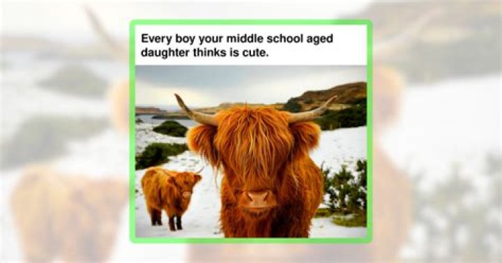 Cows Meme: The Udderly Hilarious Internet Phenomenon
