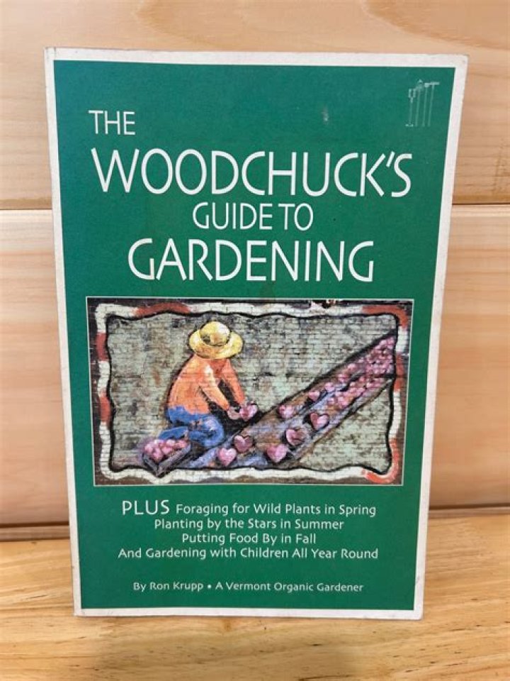 Essential Guide To Woodchucks: Uncovering The Secrets Of Marmots