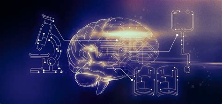 Ethan Exline: A Rising Star In The Digital Era