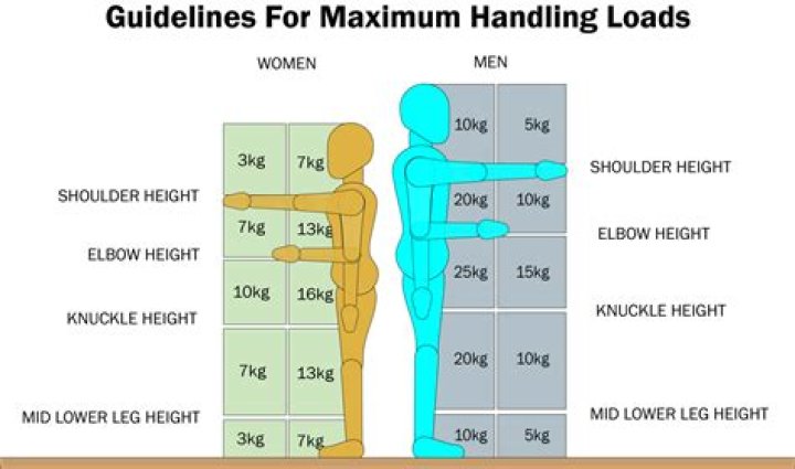 Guide: Carowinds Weight Limits For Safe Thrills