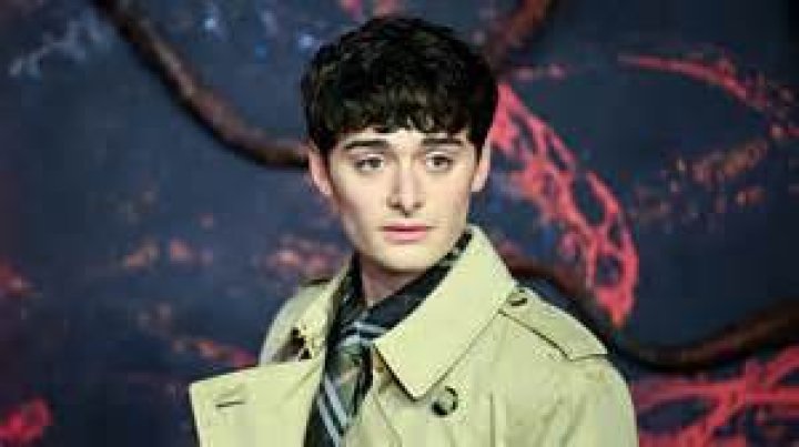 Noah Schnapp: An Exploration Of His Wikipedia Page