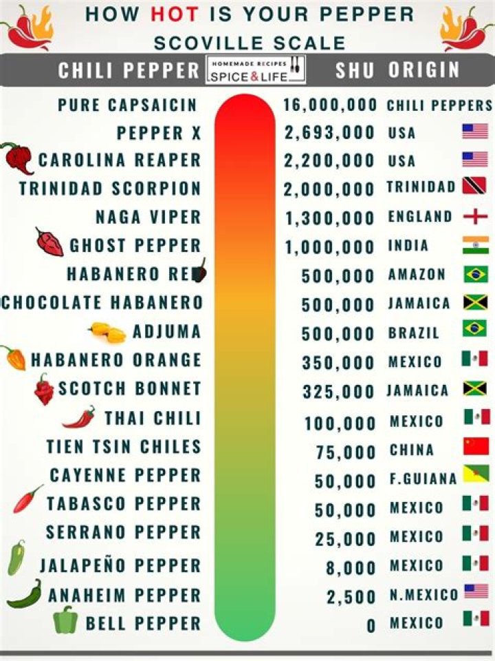 The Best "Helena" By Red Hot Chili Peppers: A Comprehensive Guide