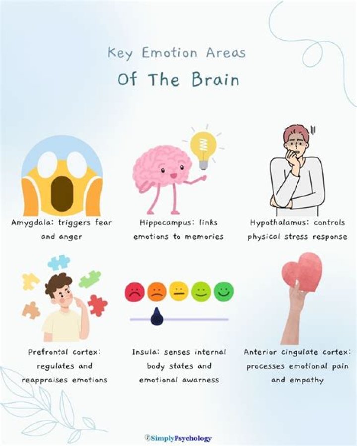Understanding The Depths Of Emotion: Are You Like Legit Sad?