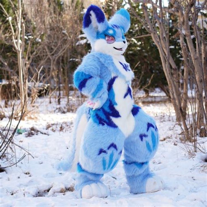 Unleashing Creativity: The Fascinating World Of Goldfish Fursuits