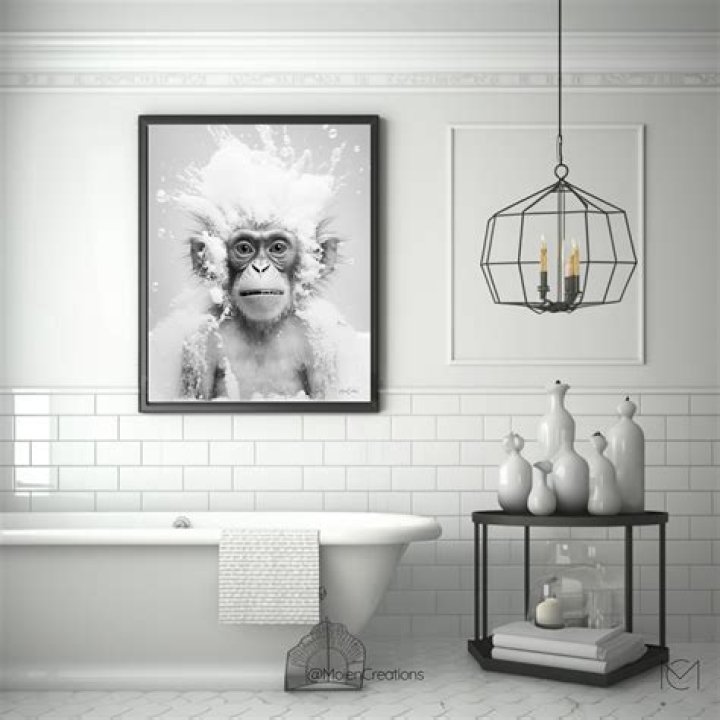 Unveiling The Hilarity Of Bathroom Monkey SNL